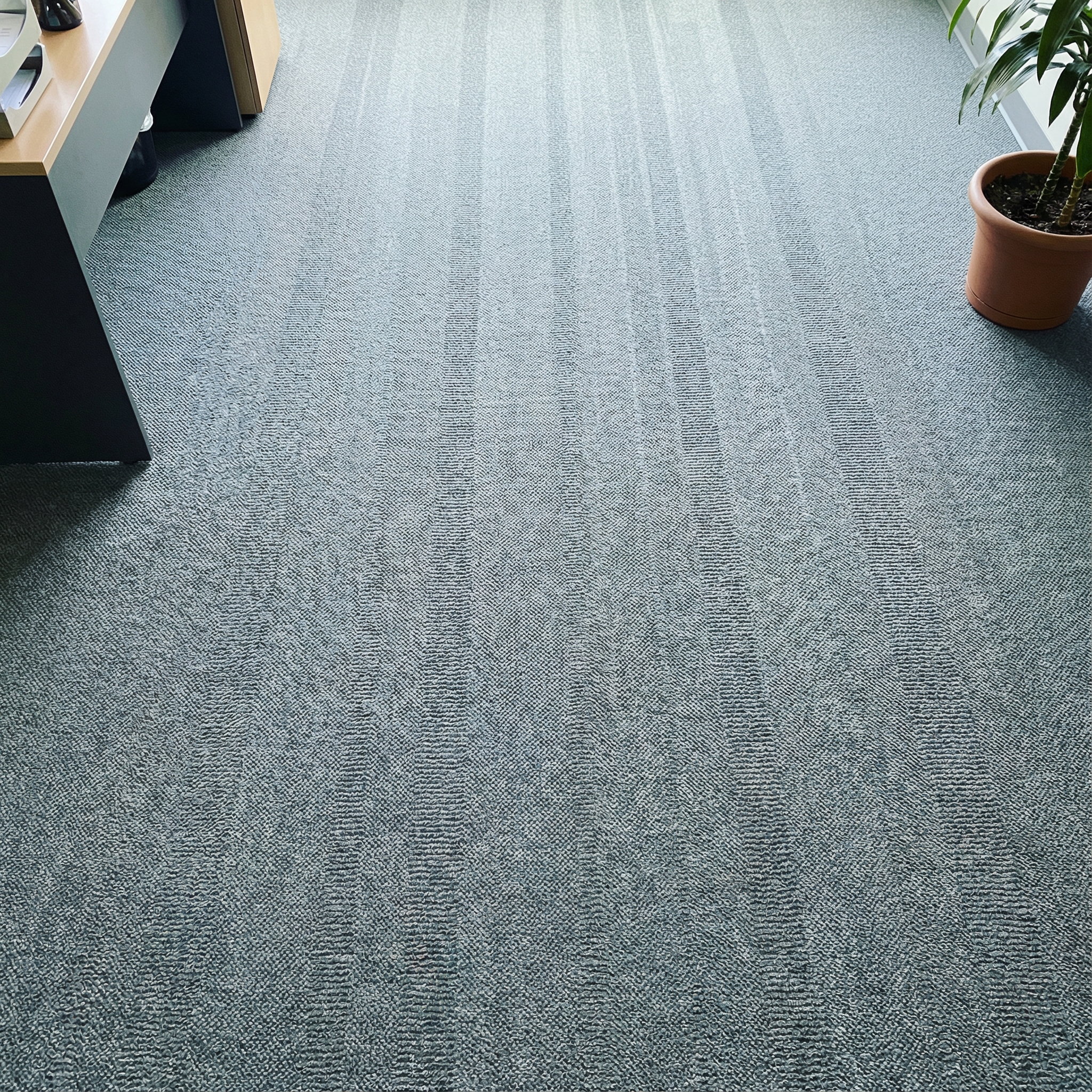 5 Signs Your Carpet Needs Professional Cleaning